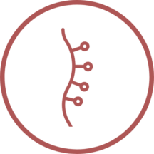 Icone pour Acupuncture