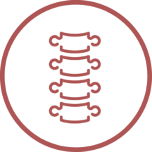 Icone pour Ostéopathie