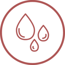 Icone pour Thalasso Bain Bébé